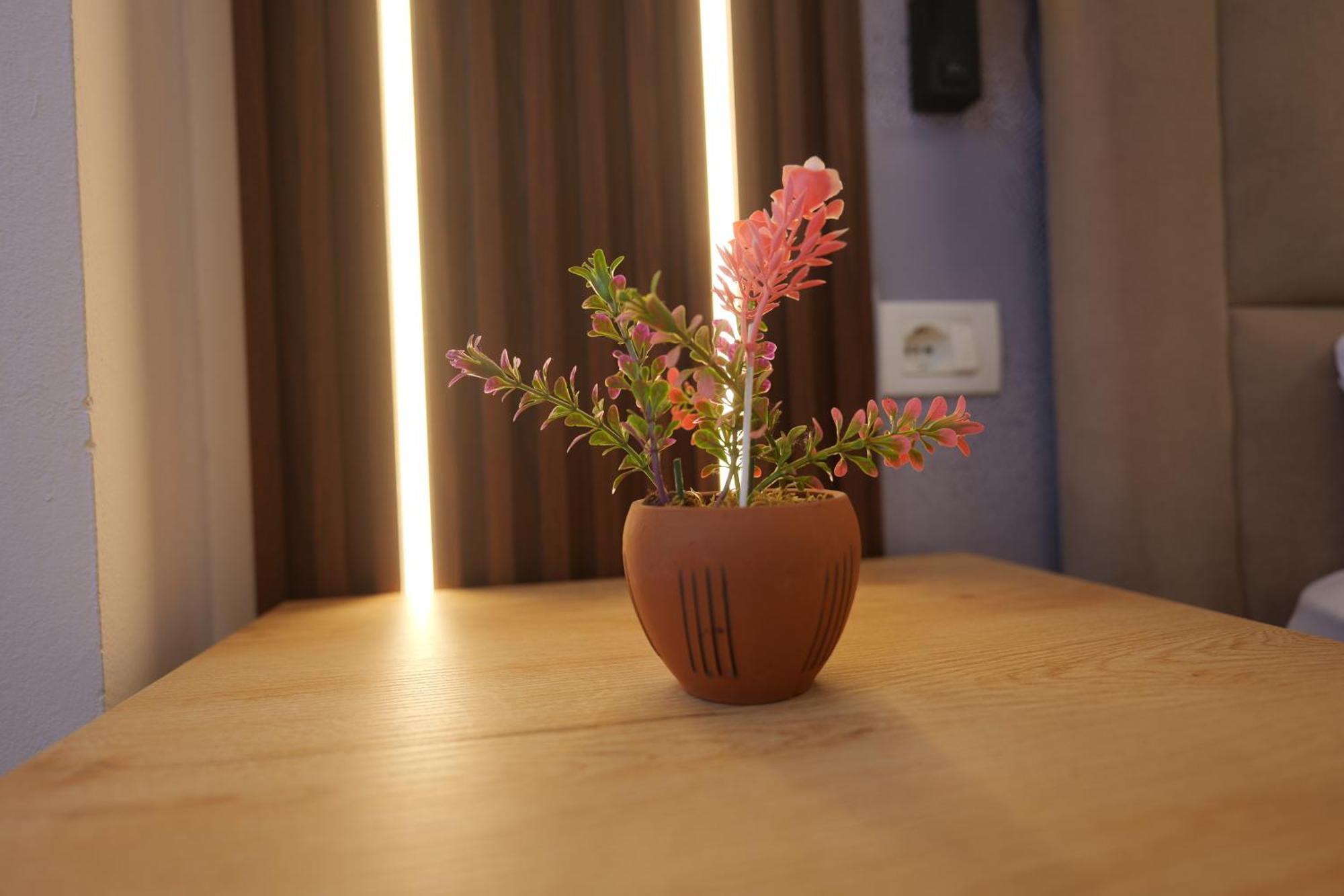 Golden Sleep Hostel شكودر المظهر الخارجي الصورة
